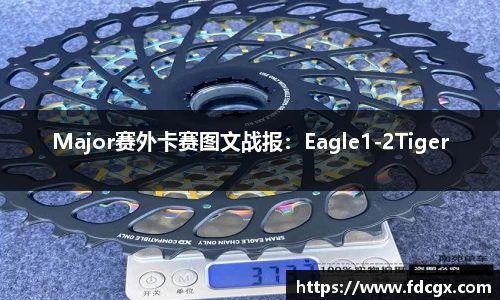 易游体育