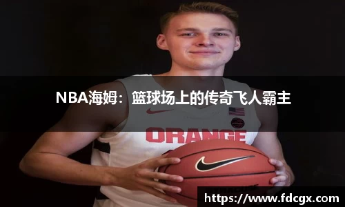 NBA海姆：篮球场上的传奇飞人霸主